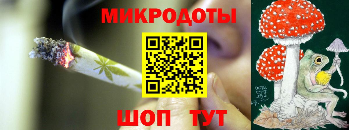 Астрахань  Галлюциногенные грибы прущие грибы  Вход с VPN  Псилоцибиновые грибы Psilocybe 